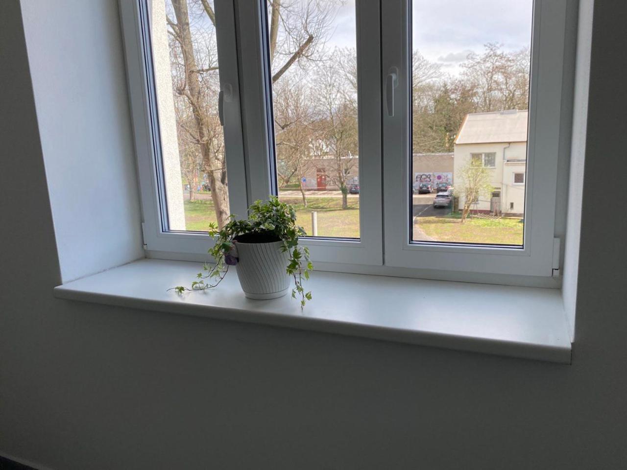 Perla Hradce 103 * Hradec Králové